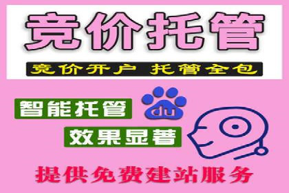 百度推广代运营公司助力企业快速占领市场
